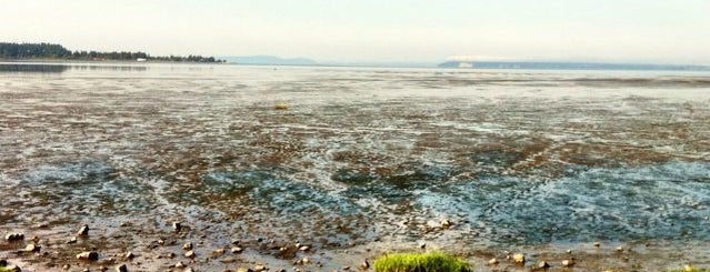 Mud Bay is one of Lieux qui ont plu à Fabio.