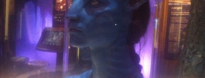 Avatar Exhibit is one of Seattle.