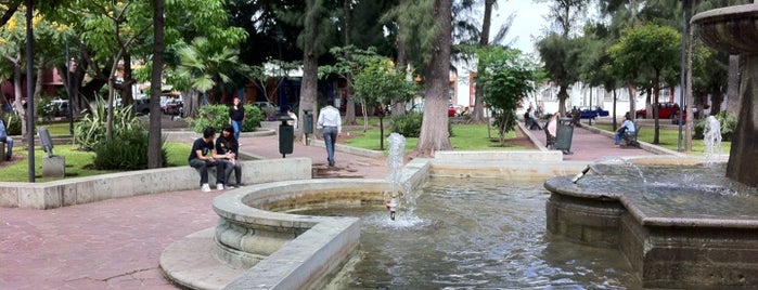 Jardín Conzatti is one of Lieux sauvegardés par edith.