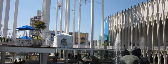 Pacific Science Center is one of Robby : понравившиеся места.