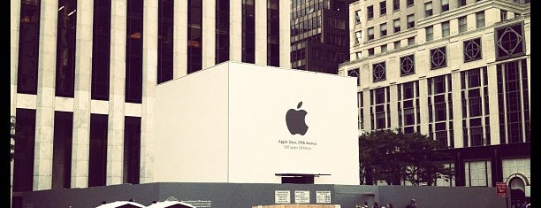 Apple Fifth Avenue is one of New York City.