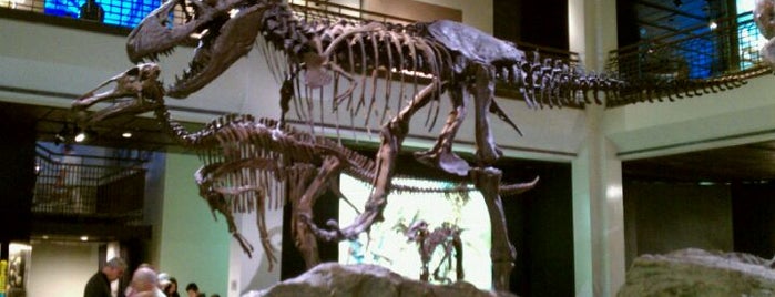 Houston Museum of Natural Science is one of Best Places to Check out in United States Pt 4.