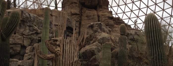 Desert Dome is one of Deer Park Places You Can't Miss.