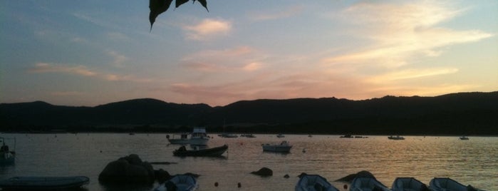 Corsica