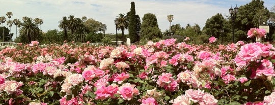 Rose Garden is one of Favorite Great Outdoors.