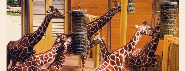 Giraffen is one of Yuri’s Liked Places.