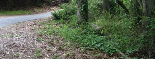 Peachtree City Cart Path is one of Peachtree City - Top Get Out of the House Spots.