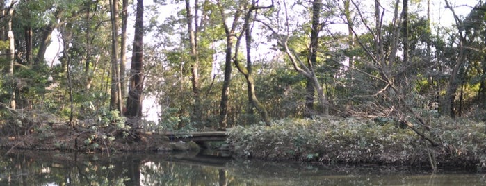 滄浪泉園緑地 is one of 東京の名湧水57選.