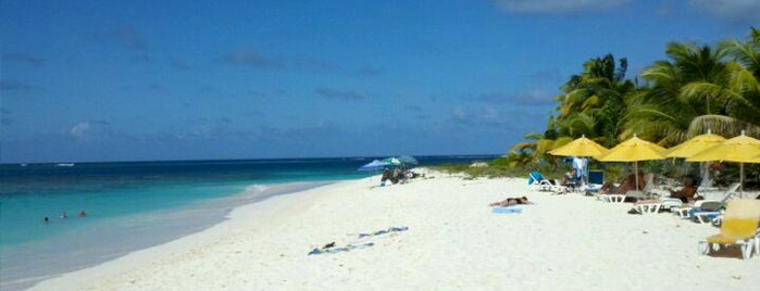 Shoal Bay Beach is one of Anguilla?.