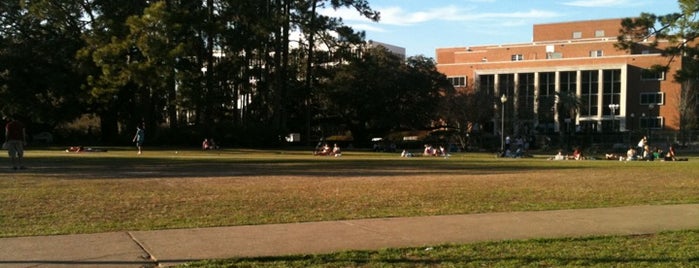 Landis Green is one of Top 40 Spots in Tally.
