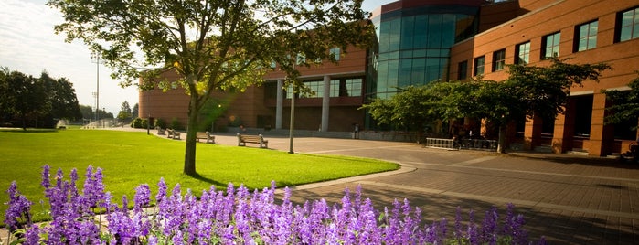 Foley Center Library is one of Academic Buildings.