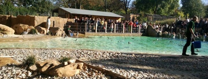 ZSL London Zoo is one of Zoos & Parks.
