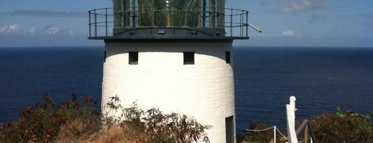 Makapu‘u Lighthouse is one of Aloha O’ahu 🌸.