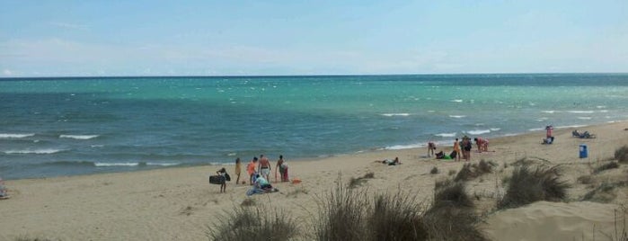 Playa El Rebollo / La Marina is one of Playas de la Comunidad Valenciana.