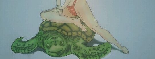 Turtle Kraals is one of Flo Rida 🔑.