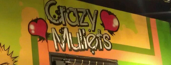 Crazy Mullets is one of https://mysp.ac/KTxm "Kiwanis Rocks"™.