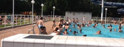 Zwembad Netepark is one of Tips voor Trips met Kinderen.