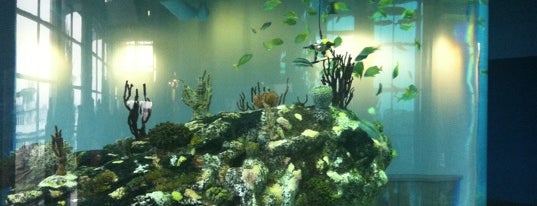 South Carolina Aquarium is one of Charleston, SC #visitUS.