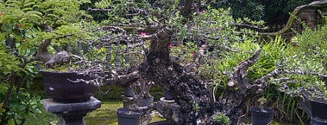 Pandawa Bonsai Garden is one of Deyan.