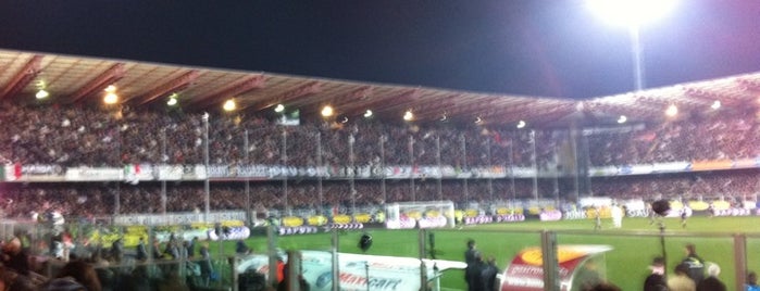 Orogel Stadium Dino Manuzzi is one of Stadi Serie A.