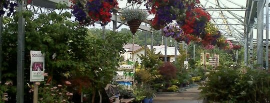 Wilson Garden Center is one of Licking County Attractions.