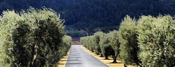 Opus One Winery is one of west.