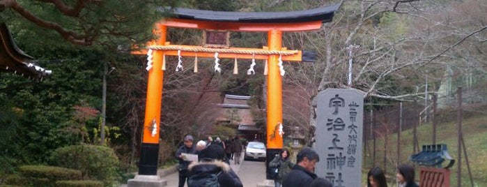 Ujigami Shrine is one of 京都の定番スポット　Famous sightseeing spots in Kyoto.