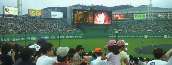 Sajik Baseball Stadium is one of Swarming Places in S.Korea.
