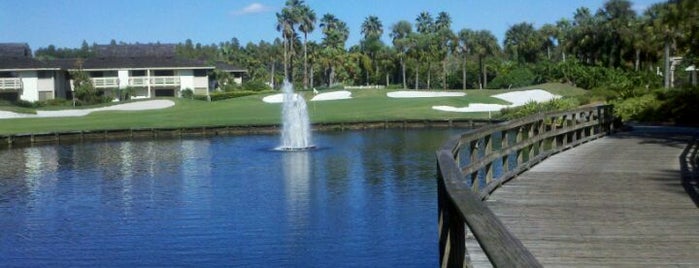 Saddlebrook Resort is one of Lugares favoritos de Thomas.