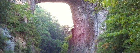 The Natural Bridge is one of Unique Places to go in the Roanoke Valley.