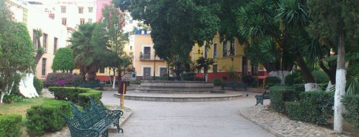 Jardín Reforma is one of Lieux sauvegardés par JOLUMO.
