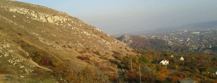 Budaörs is one of Imre 님이 좋아한 장소.