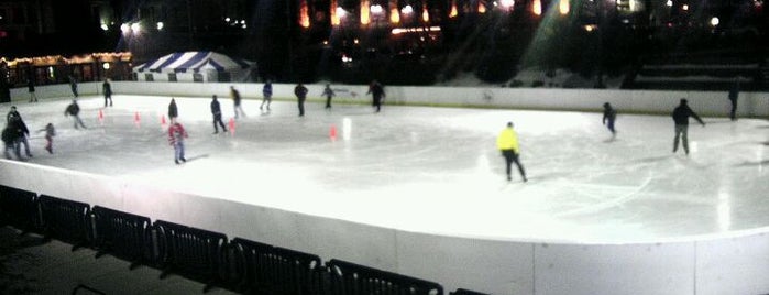 Bank of America Skating Center is one of Brianさんのお気に入りスポット.
