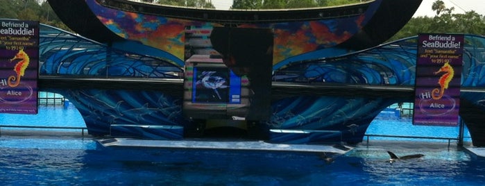 Shamu Stadium is one of Nice spots and things to do in Orlando, FL.