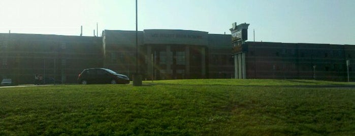 Mt Juliet High School is one of Middle TN High Schools.