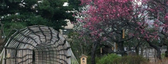 向島百花園 is one of Tokyo Gardens.
