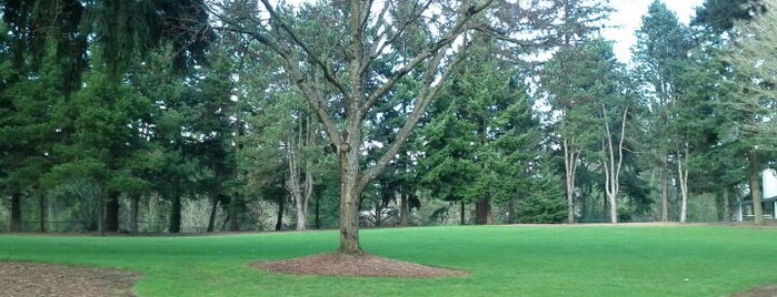 Tualatin Community Park is one of Portlandia.