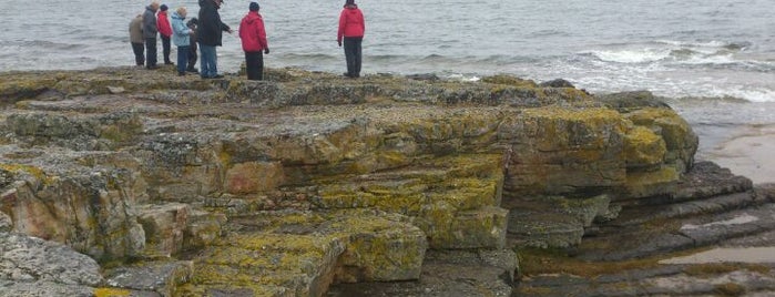 kambrisk sandsten som är 530 miljoner år gammal is one of Geologi.