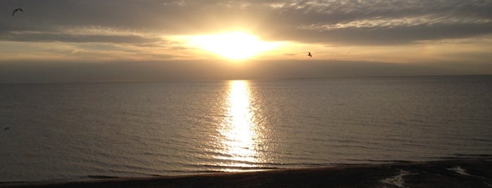 Hamburg Beach is one of Anne Shirleyさんのお気に入りスポット.