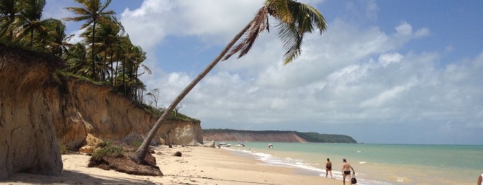 Praia do Carro Quebrado is one of Praias de Alagoas.