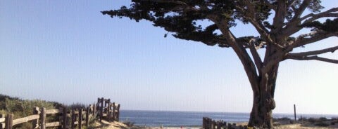 Monterey Bay Coastal Trail is one of Lorcán'ın Kaydettiği Mekanlar.