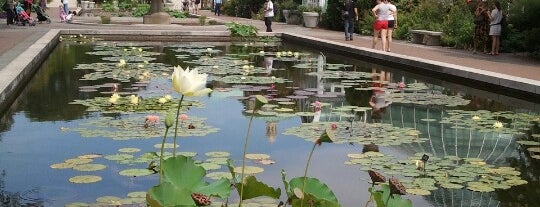 Brooklyn Botanic Garden is one of Welcome to Brooklyn.