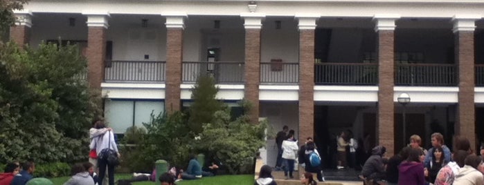 Facultad de Psicología UDP is one of Universidad Diego Portales.