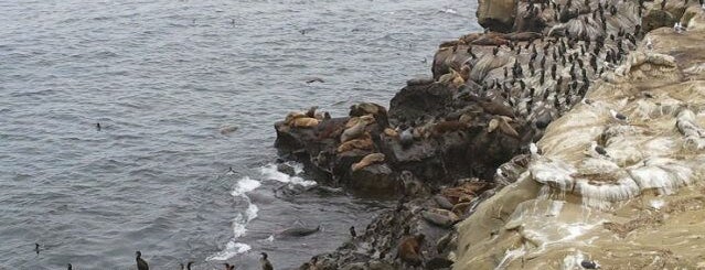 La Jolla Cove is one of Beach Bouncing in So Cal.