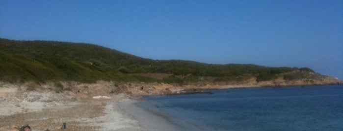 Plage de Tamarone is one of Corsica.