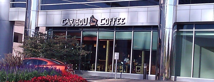 Caribou Coffee is one of Common places.