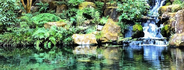 Portland Japanese Garden is one of My favs.