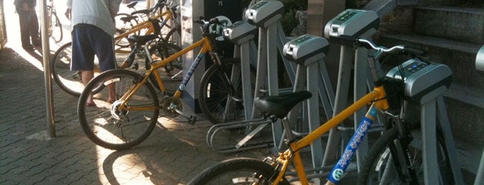 한강 포함 자전거 대여소들
