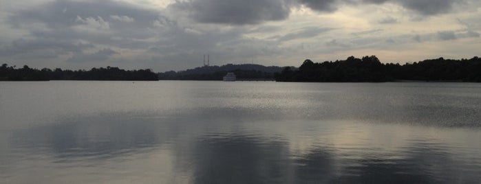 Upper Peirce Reservoir is one of Favorite nature places in Singapore.