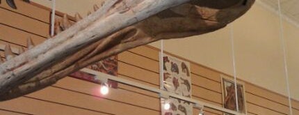 The Wyoming Dinosaur Center Store is one of Wyomin'.